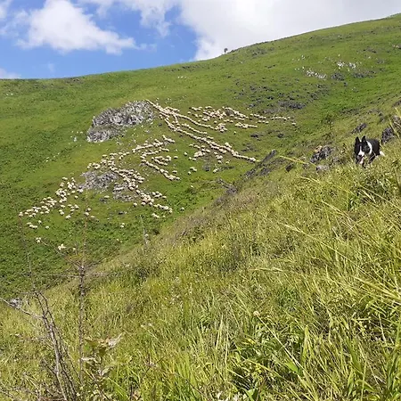 Nouveaute!! Chez Les Deux P'Tits Loups Osse-en-Aspe